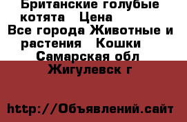 Британские голубые котята › Цена ­ 5 000 - Все города Животные и растения » Кошки   . Самарская обл.,Жигулевск г.